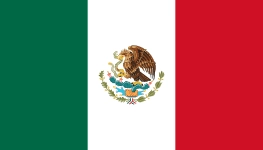 D組：墨西哥