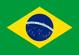 G組：巴西